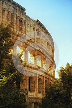 Coliseum of Roma