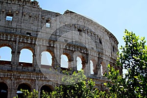 The Coliseum, Rome
