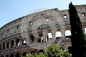 The Coliseum, Rome