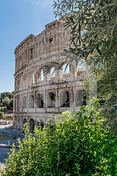 Coliseum Rome Italy, side view at daytime