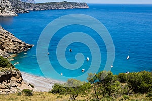 Coll Baix beach in Alcudia bay in Mallorca Balearic islands of Spain. Tropical paradise beach.Summer vacation travel holiday backg