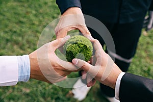 Collaboration between the government with green globe