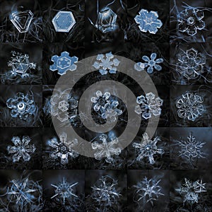 Collage with 25 real snowflake macro photos