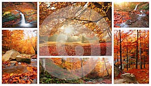 Collage with 6 autumn landscapes,  awesome mountains views, panoramic nature scenery, Ukraine, Europe, Carpathians