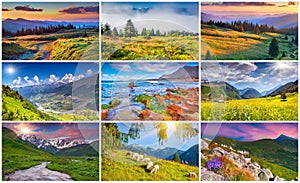 Collage with 9 colorful summer landscapes.