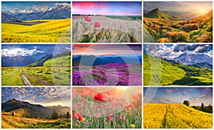 Collage with 9 colorful summer landscapes.