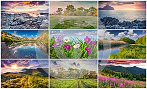 Collage with 9 colorful summer landscapes.