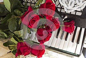 Collage with accordion and red roses photo