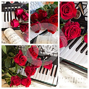 Collage with accordion and red roses photo