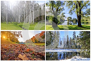 Collage all seasons . Winter, spring, summer, autumn. Landscapes of the seasons