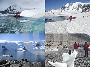 Collage of Antarctica cruise activities