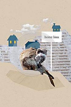 Collage artwork graphics picture of lonely unhappy chimp lost home isolated painting background