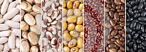 Collage of assorted beans. White, yellow, azuki, brown, rajado and black uncooked beans in panoramic format photo