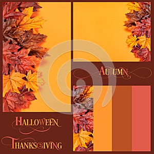 Collage of Autumn Leaves backgrounds, borders and text