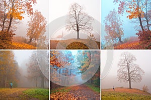 Collage with beautiful views of misty autumn.