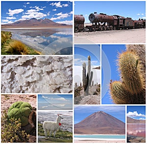 Collage Bolivia, nature and landscape travel concept