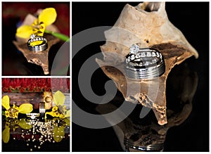 Collage Of Bridal Rings On Flowers And Wood