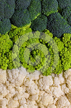 Collage of broccoli, cauliflower and roman cauliflower. Colorful background of fresh and ripe cabbage. Healthy vegetarian food.