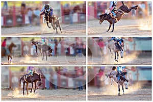 Collage Of Bucking Horse Riding Rodeo Competition