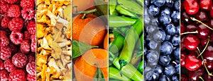 Collage of colorful fruits, mushrooms and vegetables.