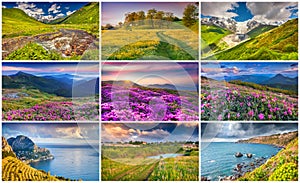 Collage with 9 colorful summer landscapes. photo