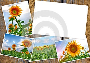 Collage from colors of a sunflower on wooden table with copy space for your photo