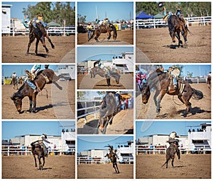 Collage Of Cowboy Riding Bucking Bronc At Outback Rodeo