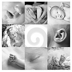 Collage cute newborn baby of four photo