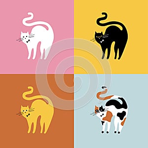 Collage of different breeds of cats