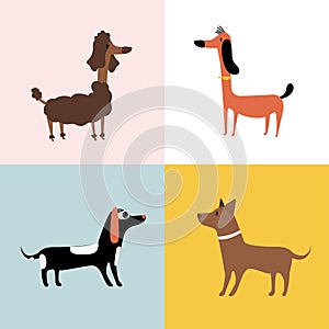 Collage of different breeds of dogs