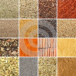Collage of different herbs and spices
