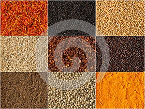 Collage of different herbs and spices background