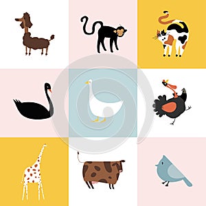 Collage of different kinds of animals