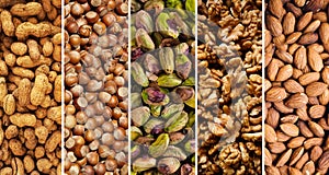 Collage of nuts textures horizontal image
