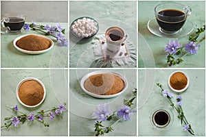 Collage from different pictures of Chicory coffee. A substitute for traditional coffee, a herbal drink from the roots of chicory