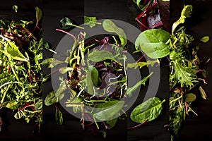 Collage from different pictures of tasty mix salad leaves over dark wood plate, black background. Top view