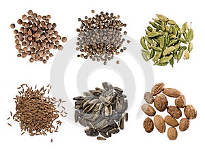 Collage of different spicery