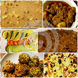 Collage of different types of delicious indian dishes