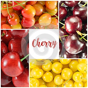 Collage from different varieties of sweet cherry colorful - sq