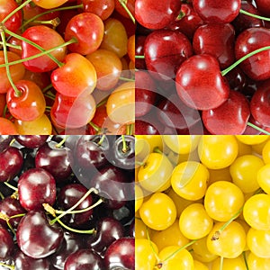 Collage from different varieties of sweet cherry - square