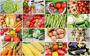 Collage of different vegetables. Vegetarian food.