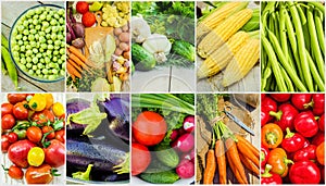 Collage of different vegetables. Vegetarian food.