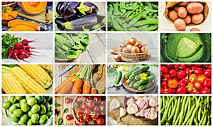 Collage of different vegetables. Vegetarian food.