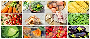 Collage of different vegetables. Vegetarian food.