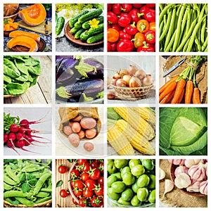 Collage of different vegetables. Vegetarian food.