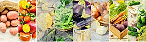 Collage of different vegetables. Vegetarian food.