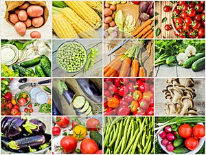 Collage of different vegetables. Vegetarian food.