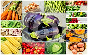 Collage of different vegetables. Vegetarian food.