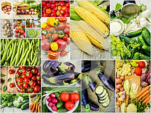 Collage of different vegetables. Vegetarian food.