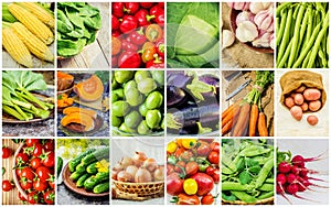 Collage of different vegetables. Vegetarian food.